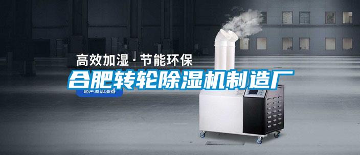 合肥轉(zhuǎn)輪除濕機制造廠