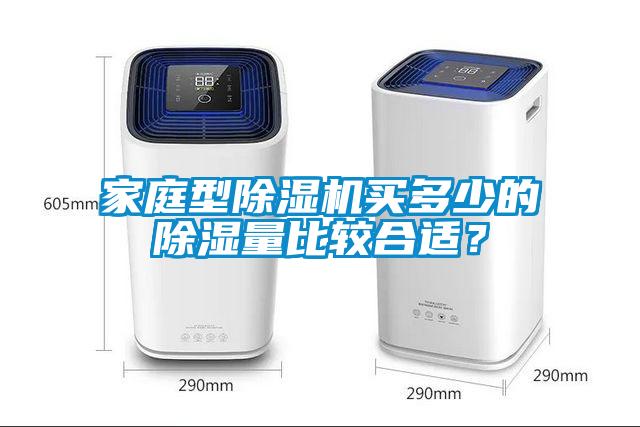 家庭型除濕機買多少的除濕量比較合適？