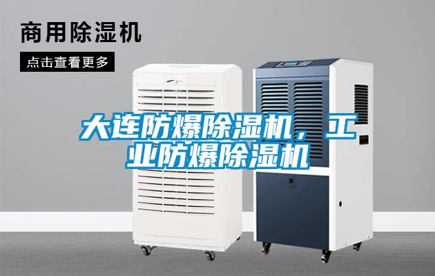大連防爆除濕機(jī)，工業(yè)防爆除濕機(jī)