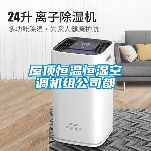屋頂恒溫恒濕空調(diào)機組公司都