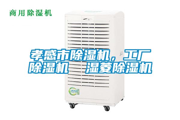 孝感市除濕機，工廠除濕機  濕菱除濕機