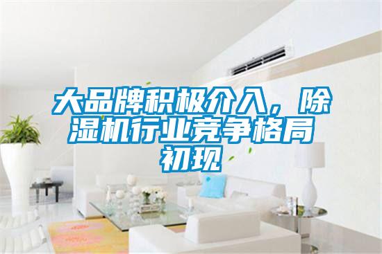 大品牌積極介入，除濕機(jī)行業(yè)競爭格局初現(xiàn)