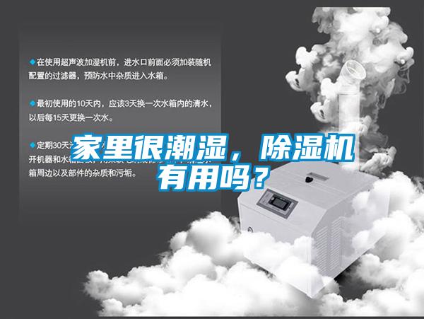 家里很潮濕，除濕機有用嗎？