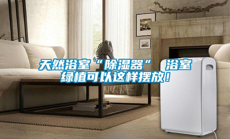 天然浴室“除濕器” 浴室綠植可以這樣擺放！