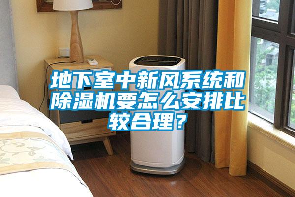 地下室中新風(fēng)系統(tǒng)和除濕機(jī)要怎么安排比較合理？
