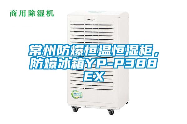常州防爆恒溫恒濕柜，防爆冰箱YP-P388EX