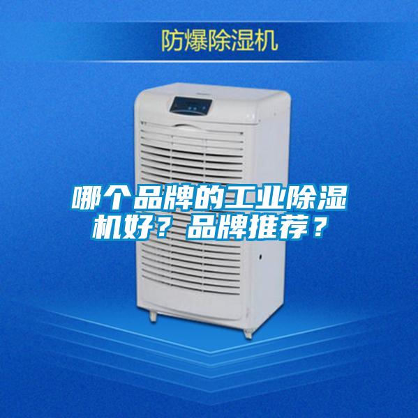 哪個(gè)品牌的工業(yè)除濕機(jī)好？品牌推薦？