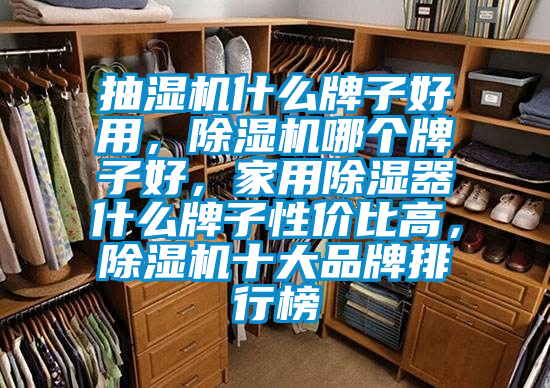 抽濕機什么牌子好用，除濕機哪個牌子好，家用除濕器什么牌子性價比高，除濕機十大品牌排行榜