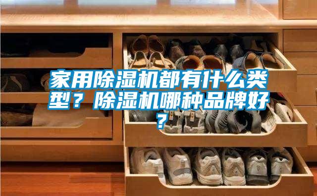 家用除濕機(jī)都有什么類(lèi)型？除濕機(jī)哪種品牌好？