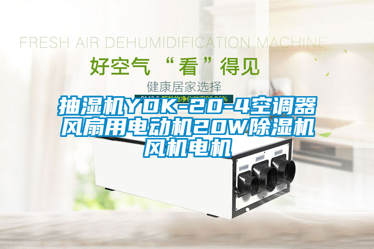 抽濕機YDK-20-4空調器風扇用電動機20W除濕機風機電機