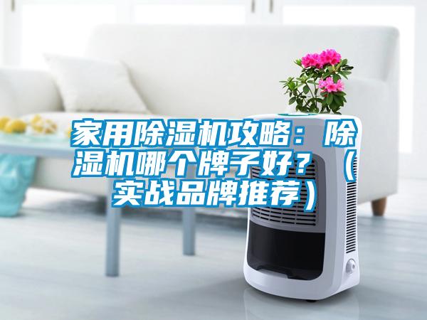 家用除濕機攻略：除濕機哪個牌子好？（實戰(zhàn)品牌推薦）