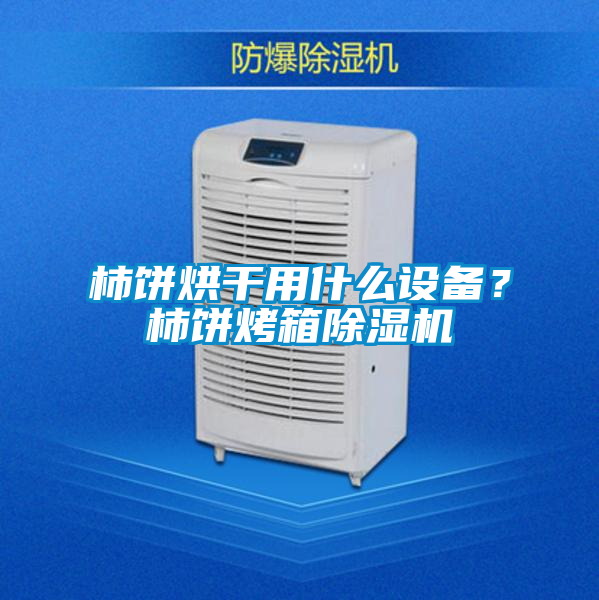 柿餅烘干用什么設(shè)備？柿餅烤箱除濕機(jī)