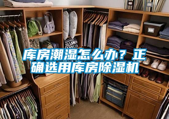 庫房潮濕怎么辦？正確選用庫房除濕機
