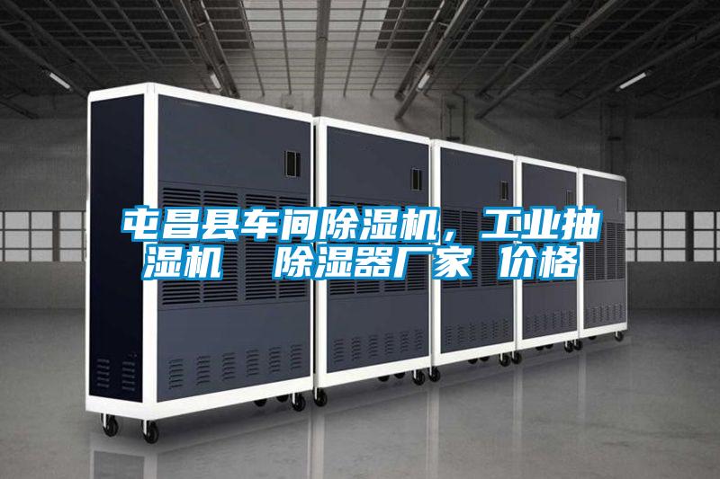 屯昌縣車間除濕機(jī)，工業(yè)抽濕機(jī)  除濕器廠家 價(jià)格