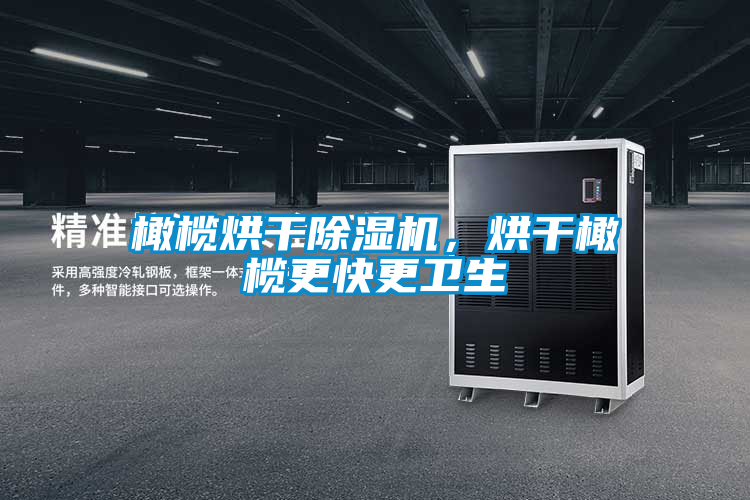 橄欖烘干除濕機(jī)，烘干橄欖更快更衛(wèi)生