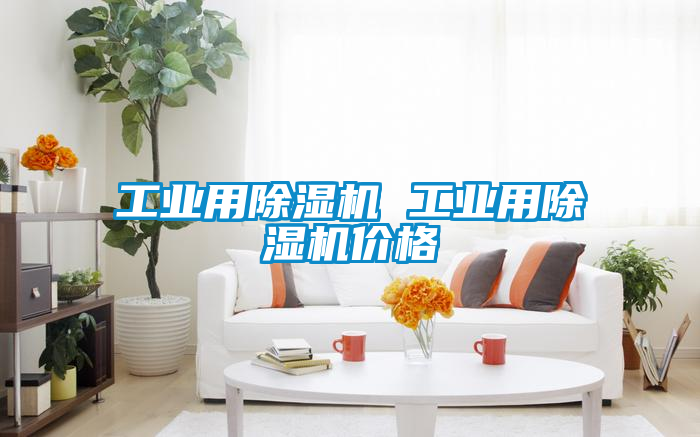 工業(yè)用除濕機(jī) 工業(yè)用除濕機(jī)價格