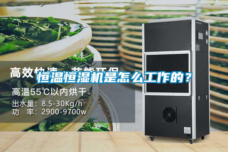 恒溫恒濕機是怎么工作的？