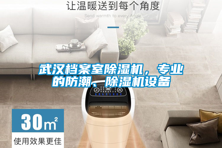 武漢檔案室除濕機，專業(yè)的防潮、除濕機設(shè)備