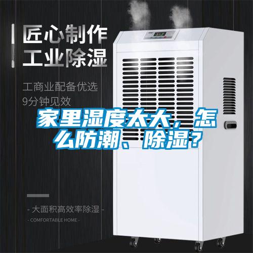 家里濕度太大，怎么防潮、除濕？
