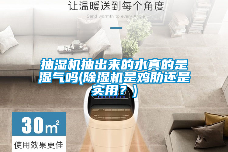 抽濕機抽出來的水真的是濕氣嗎(除濕機是雞肋還是實用？)