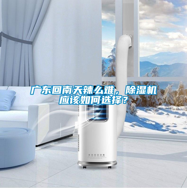 廣東回南天辣么難，除濕機應該如何選擇？