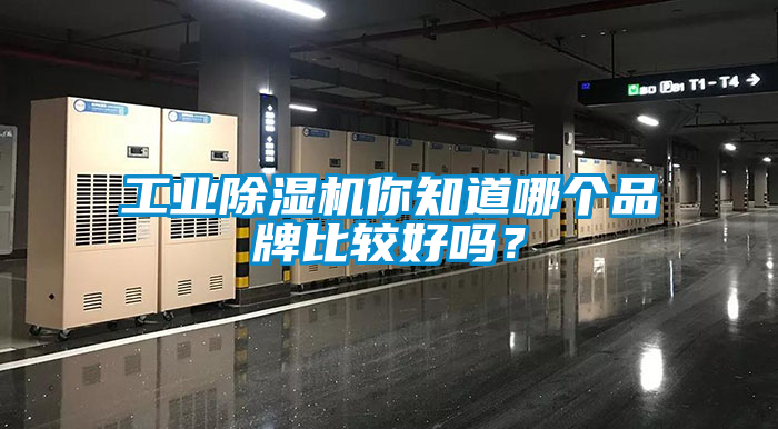 工業(yè)除濕機(jī)你知道哪個(gè)品牌比較好嗎？