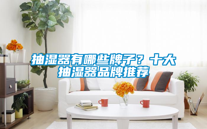 抽濕器有哪些牌子？十大抽濕器品牌推薦