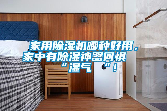 家用除濕機哪種好用，家中有除濕神器何懼 “濕氣 “！