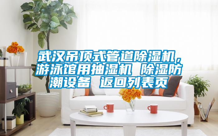 武漢吊頂式管道除濕機(jī)，游泳館用抽濕機(jī) 除濕防潮設(shè)備 返回列表頁(yè)