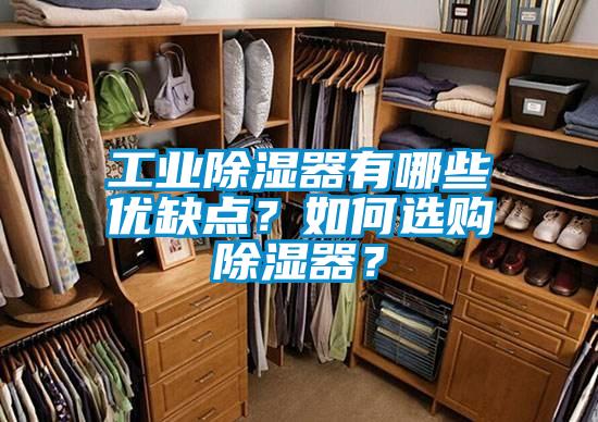 工業(yè)除濕器有哪些優(yōu)缺點(diǎn)？如何選購除濕器？