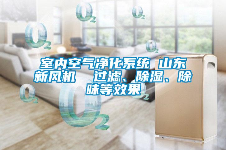 室內(nèi)空氣凈化系統(tǒng) 山東新風(fēng)機(jī)  過(guò)濾、除濕、除味等效果