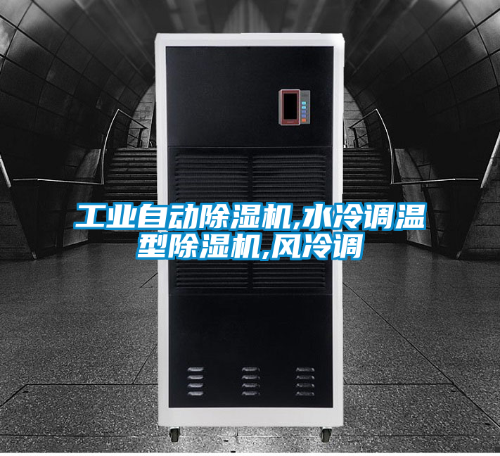 工業(yè)自動除濕機,水冷調(diào)溫型除濕機,風(fēng)冷調(diào)