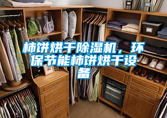 柿餅烘干除濕機(jī)，環(huán)保節(jié)能柿餅烘干設(shè)備