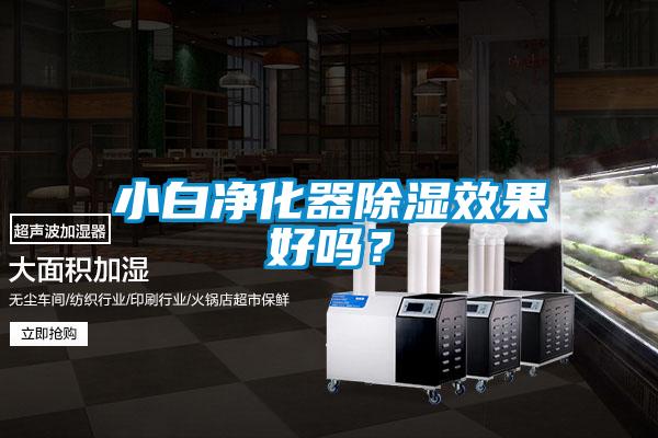 小白凈化器除濕效果好嗎？