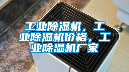 工業(yè)除濕機(jī)，工業(yè)除濕機(jī)價(jià)格，工業(yè)除濕機(jī)廠家