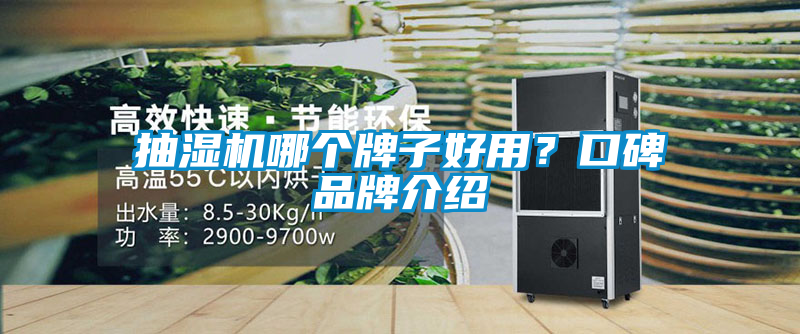 抽濕機哪個牌子好用？口碑品牌介紹