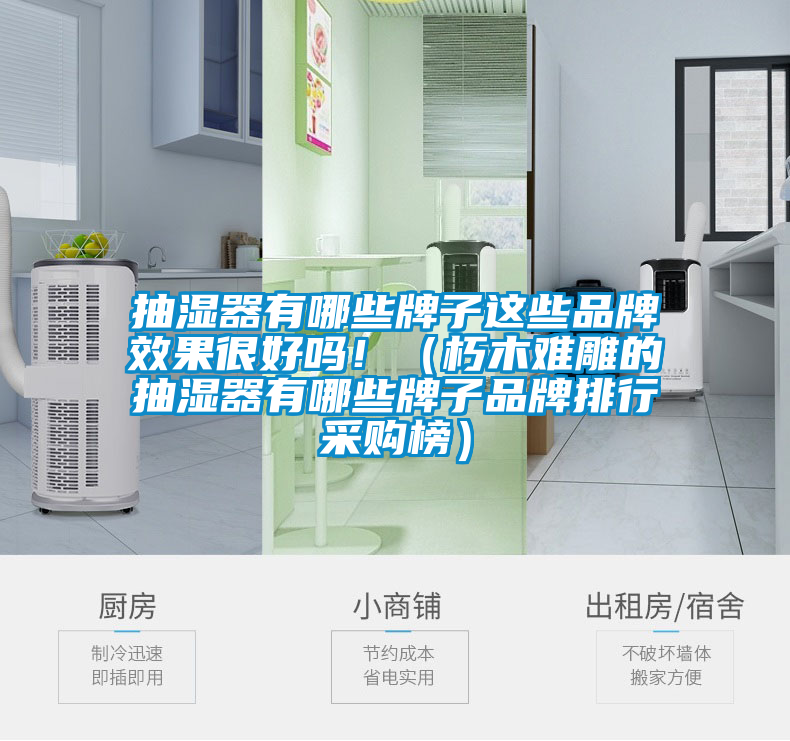 抽濕器有哪些牌子這些品牌效果很好嗎?。ㄐ嗄倦y雕的抽濕器有哪些牌子品牌排行采購榜）