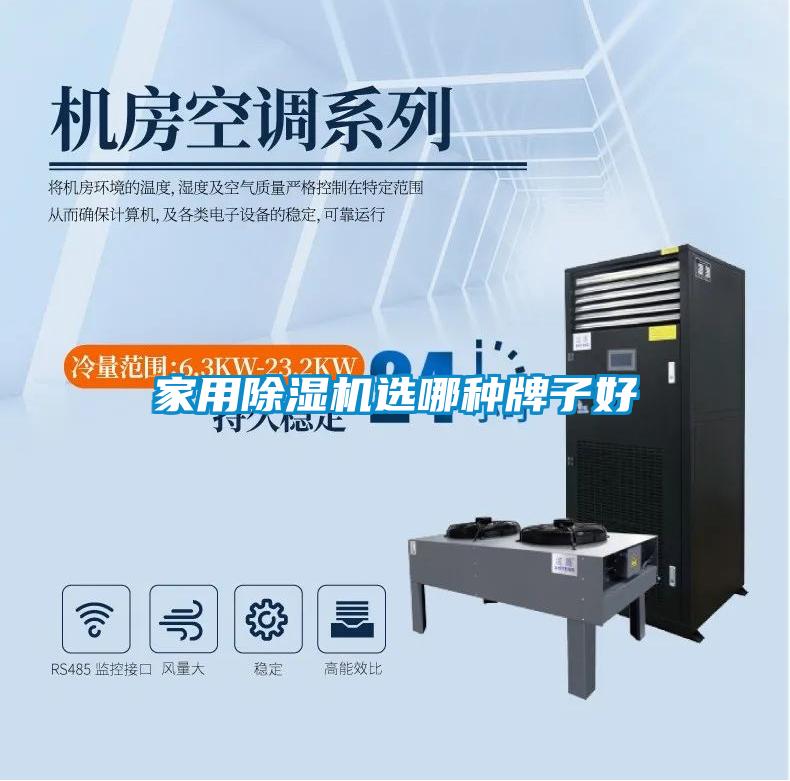 家用除濕機(jī)選哪種牌子好