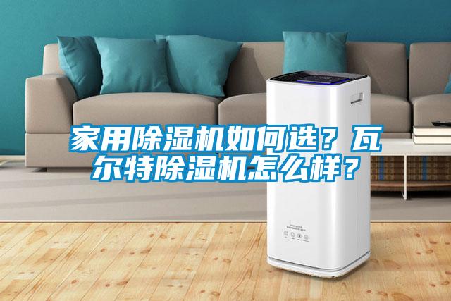 家用除濕機如何選？瓦爾特除濕機怎么樣？