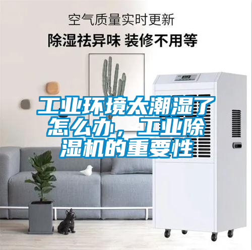 工業環境太潮濕了怎么辦，工業除濕機的重要性