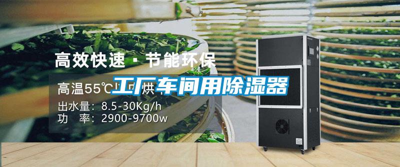 工廠車(chē)間用除濕器