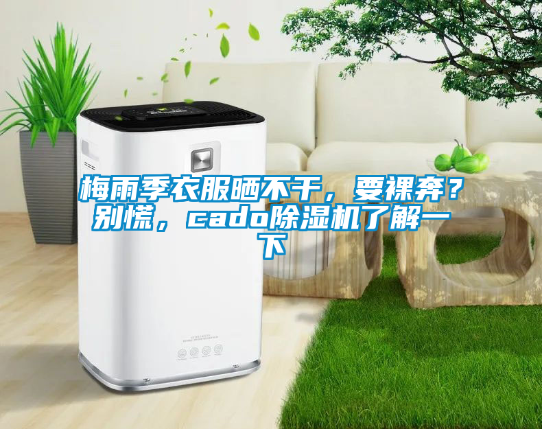 梅雨季衣服曬不干，要裸奔？別慌，cado除濕機(jī)了解一下