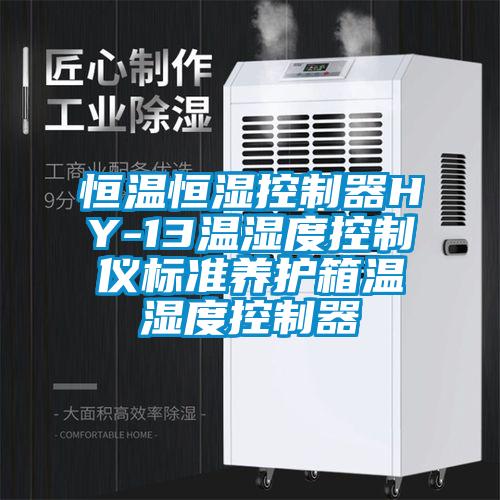 恒溫恒濕控制器HY-13溫濕度控制儀標準養(yǎng)護箱溫濕度控制器