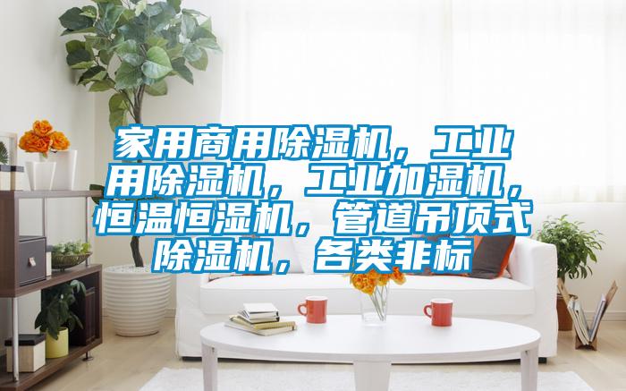 家用商用除濕機，工業(yè)用除濕機，工業(yè)加濕機，恒溫恒濕機，管道吊頂式除濕機，各類非標(biāo)