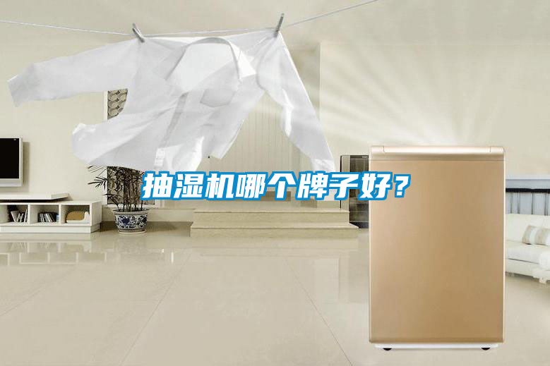 抽濕機(jī)哪個牌子好？