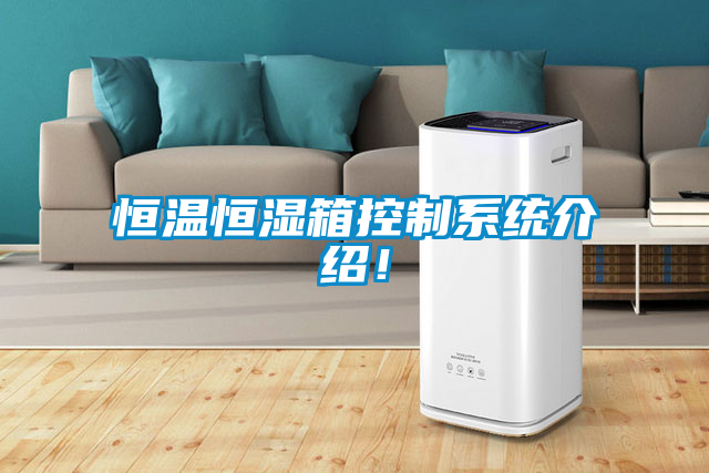 恒溫恒濕箱控制系統(tǒng)介紹！