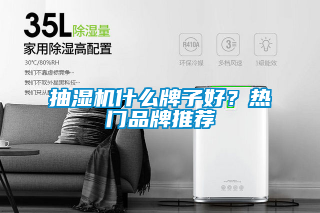 抽濕機什么牌子好？熱門品牌推薦