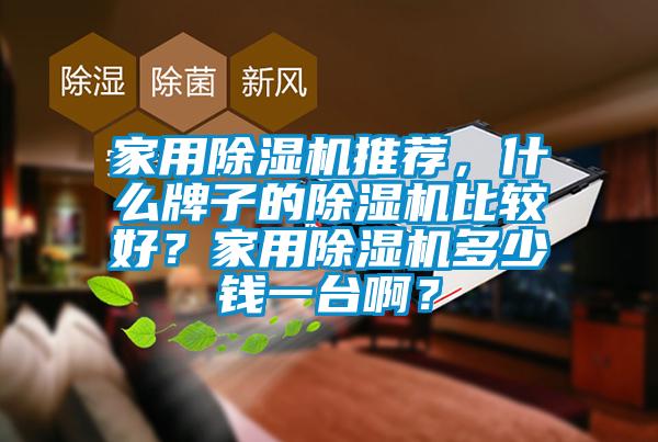 家用除濕機(jī)推薦，什么牌子的除濕機(jī)比較好？家用除濕機(jī)多少錢一臺?。?/></p>
<p style=