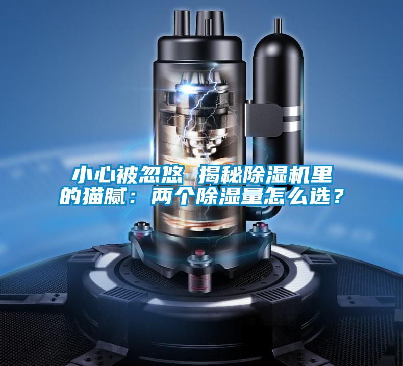 小心被忽悠 揭秘除濕機(jī)里的貓膩：兩個(gè)除濕量怎么選？