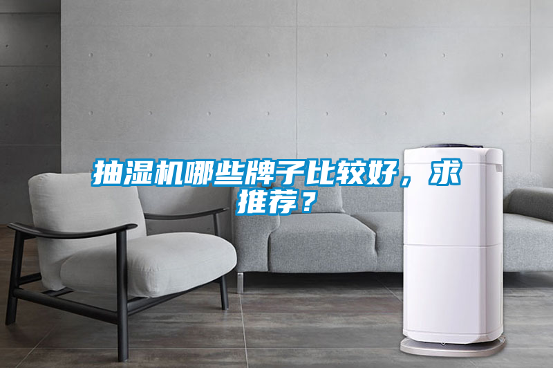抽濕機哪些牌子比較好，求推薦？